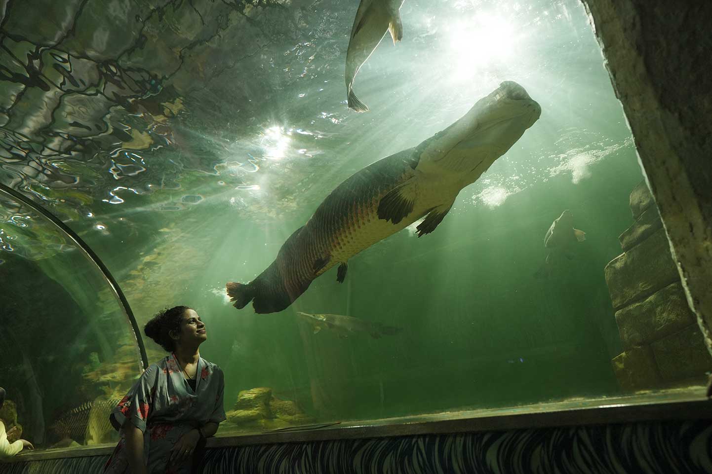 Aquariums and Underwater Exhibits - Crown Puretech