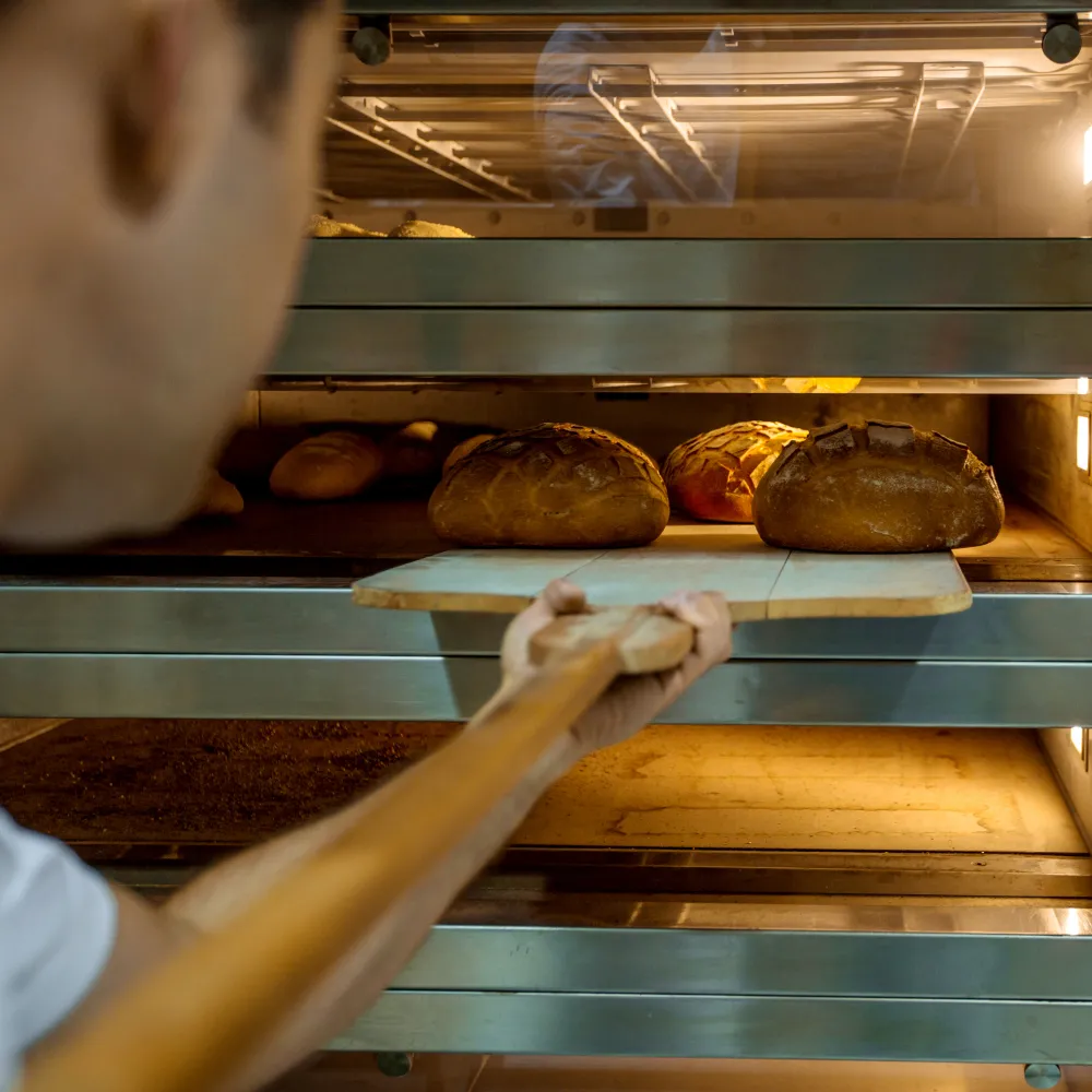 Food and Beverage Industry