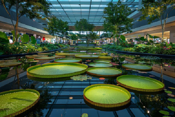 Water Bodies - Crown Puretech